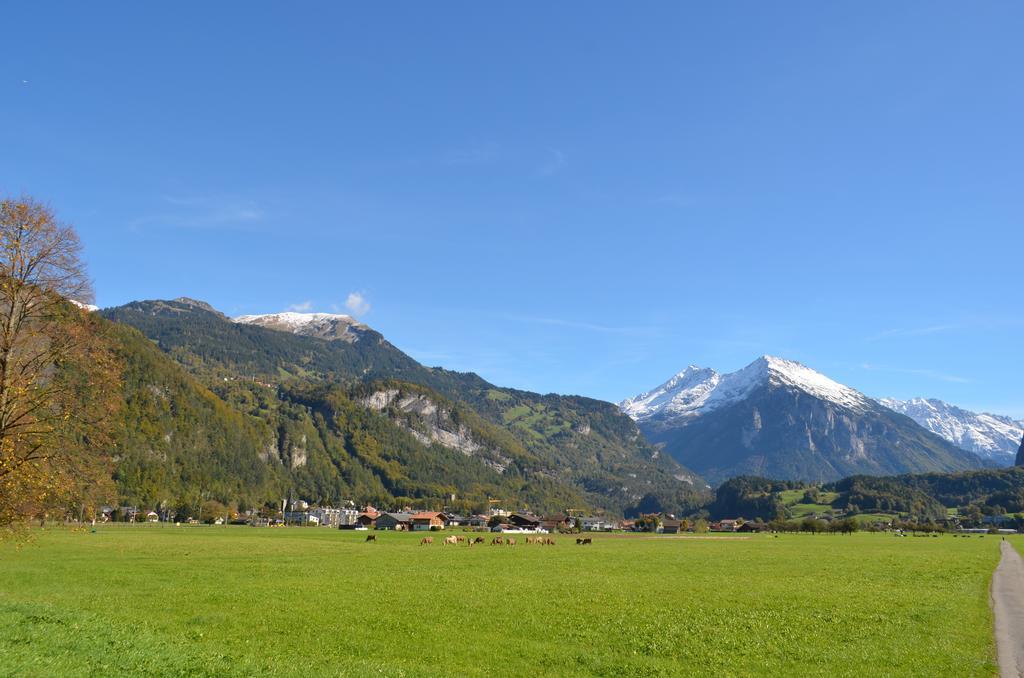 Mountain-Panorama Apartment Meiringen Luaran gambar