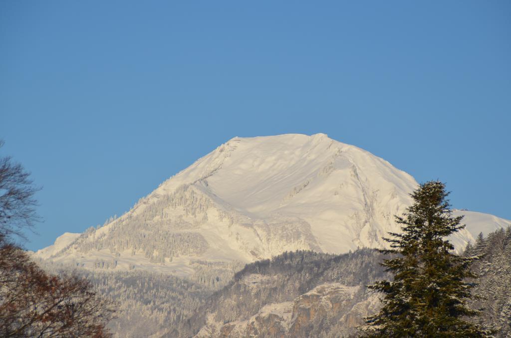 Mountain-Panorama Apartment Meiringen Luaran gambar